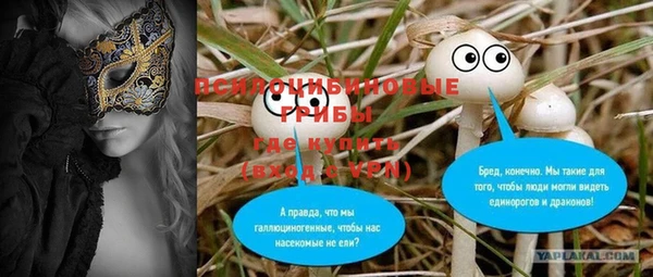 эйфоретик Аркадак